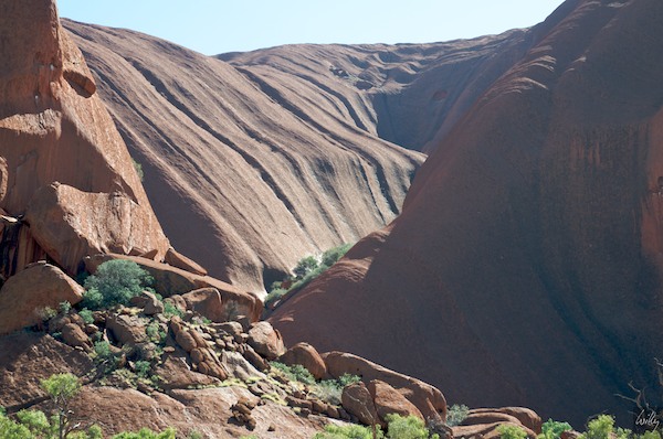 AustraliaAdelaide 10  124